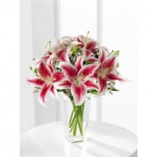 12pcs Star Gazer and Lilies in a Vase